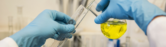 person wearing blue nitrile gloves and pouring chemical into test tube