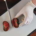 person wearing pvc vinyl gloves and cutting produce