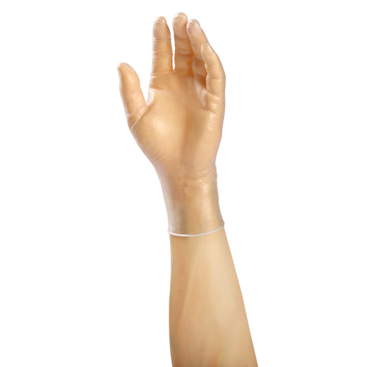 Anchor lightly powdered vinyl glove on a hand