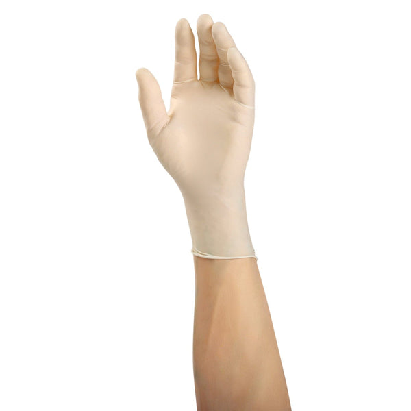 AmerCare Latex Gloves Verge Powder Free Latex Gloves