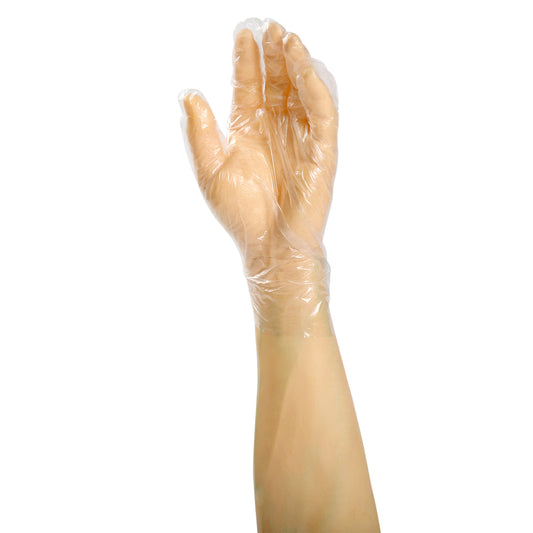 FoodGuard Powder Free Poly Glove