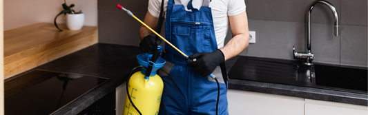 Person wearing black nitrile gloves and preparing to spray pest control chemicals
