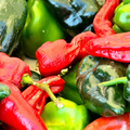 Prevent Hot Pepper Burns with Disposable Gloves