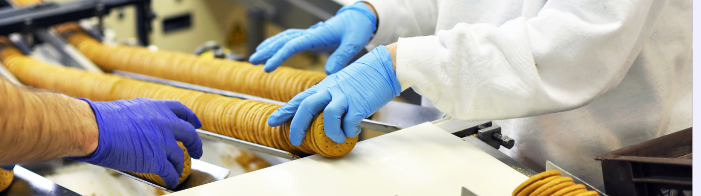 The Best Gloves For Food Processing GloveNation   Food Processing Desktop 