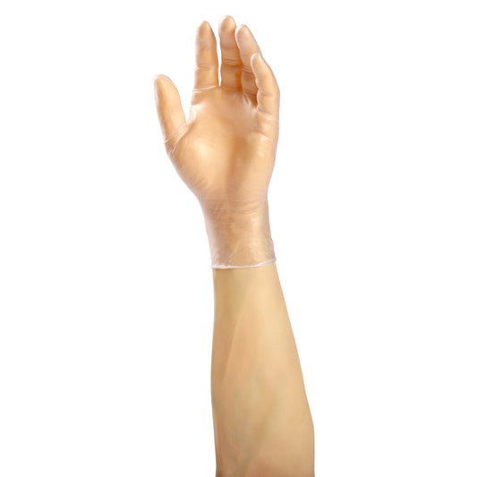 Large Sentinel Powdered Vinyl Glove on a hand
