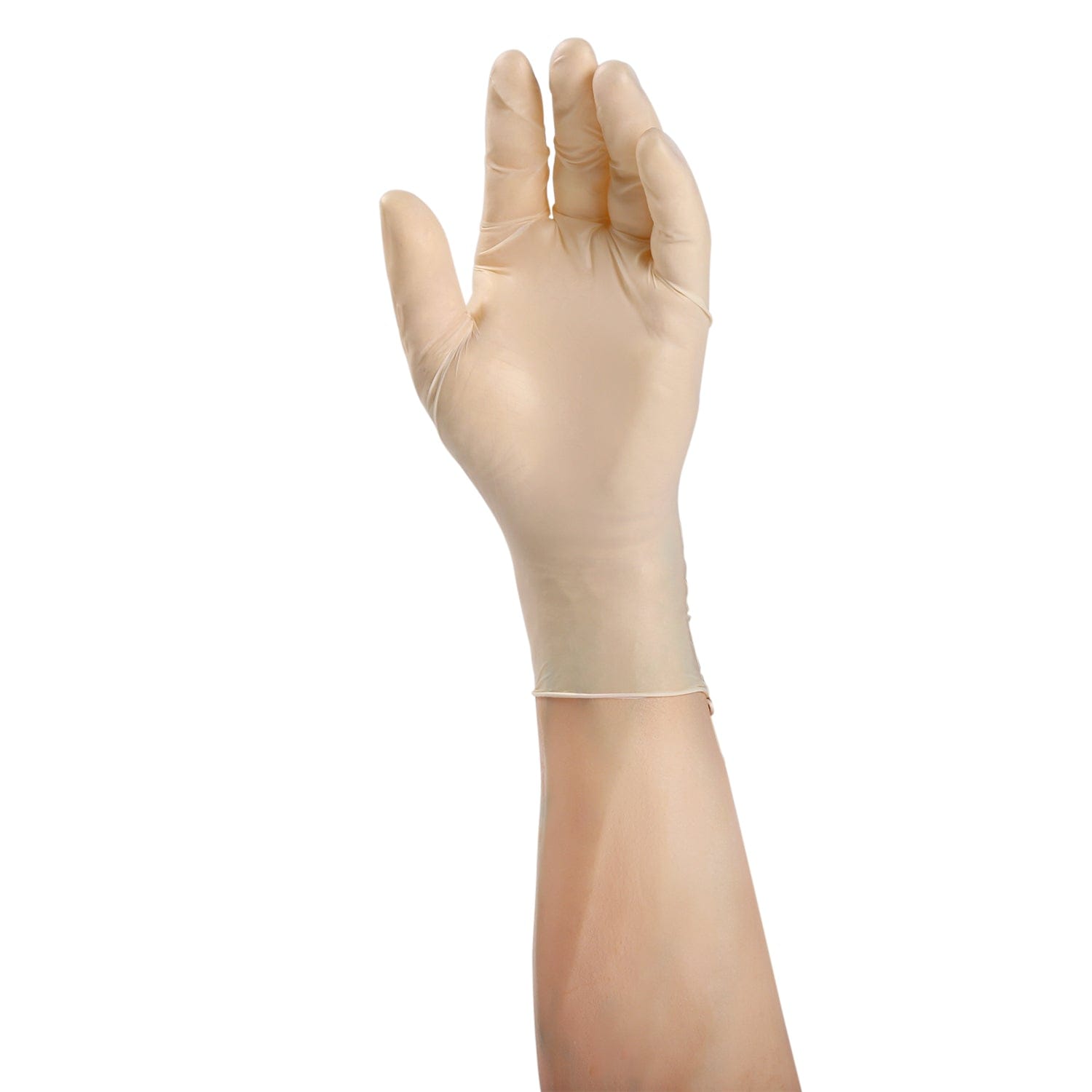 Chameleon Powder Free Vinyl Exam Gloves, Case of 1,000 – GloveNation