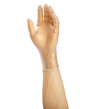 AmerCare Vinyl Gloves Anchor Powdered Vinyl Gloves