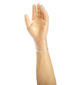 Verge Powdered Vinyl Glove on a hand