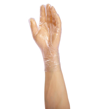 AmerCare Food Service FoodGuard XP Powder Free Gloves