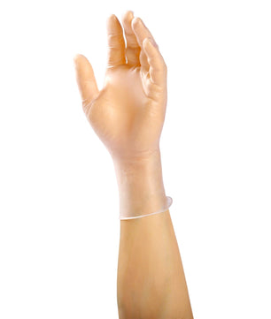 AmerCare Vinyl Gloves Anchor Powder Free Vinyl Gloves