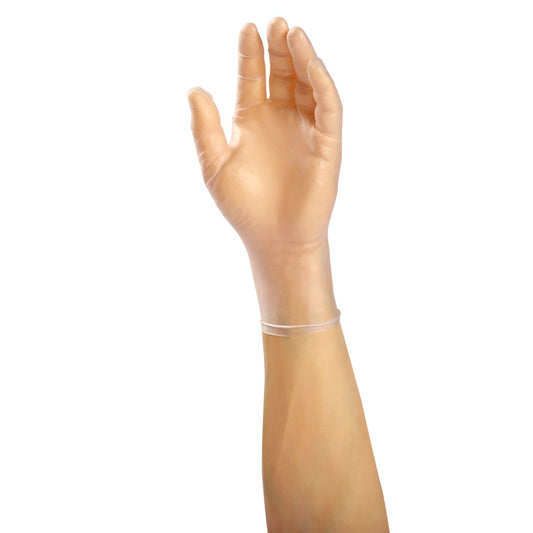 AmerCare Vinyl Gloves,special-buy Verge Powder Free Vinyl Gloves