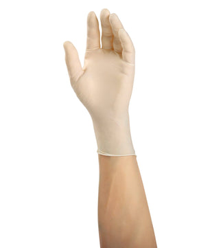 AmerCare Latex Gloves Verge Powder Free Latex Gloves