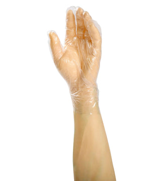 AmerCare Food Service FoodGuard Powder Free Gloves