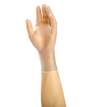 AmerCare Vinyl Gloves,special-buy Sensi-Flex Powder Free Vinyl Exam Gloves