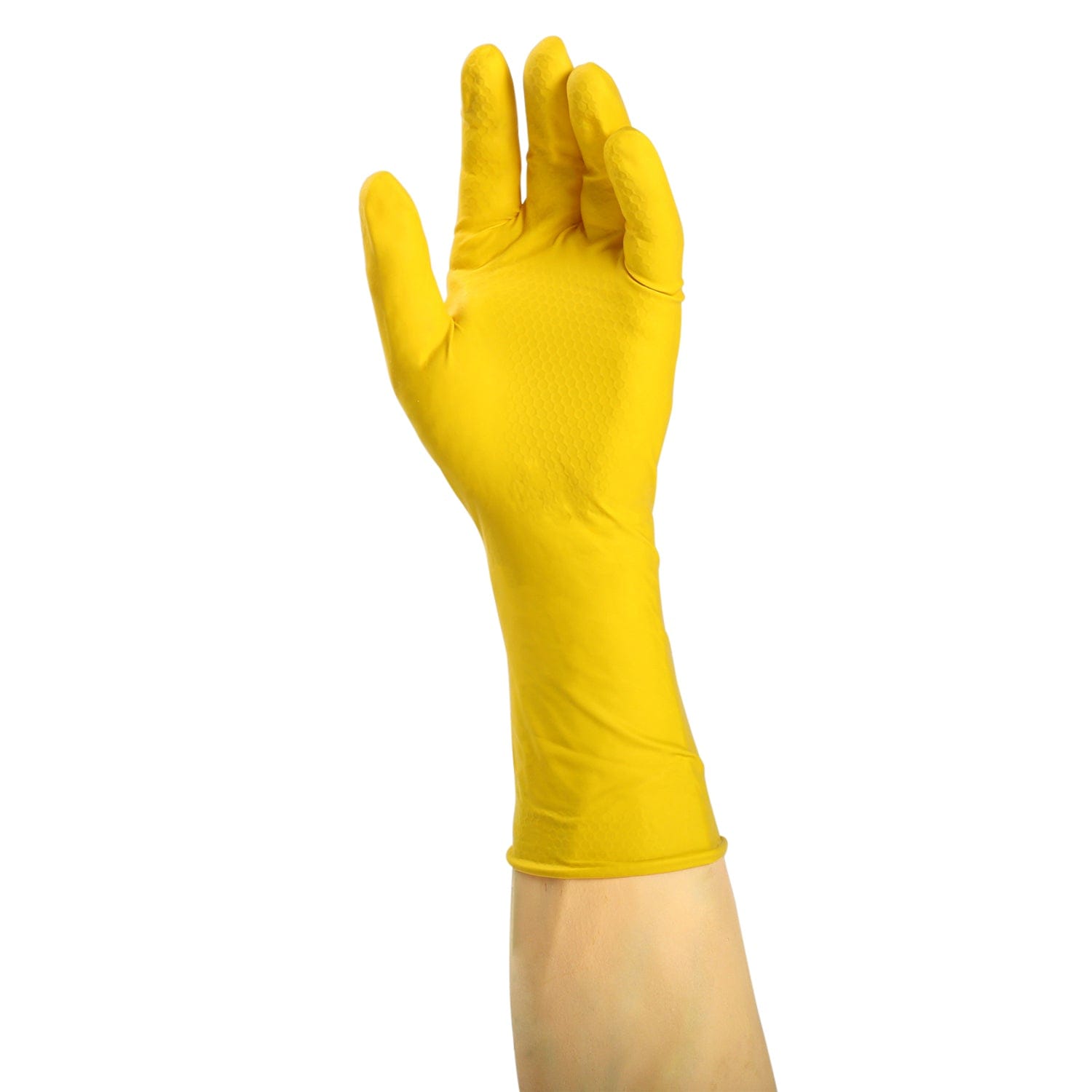 AmerCare Latex Gloves Neptune Powder Free Latex Gloves