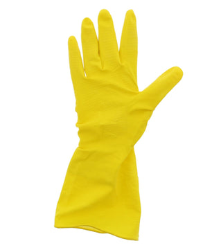 AmerCare Latex Gloves Neptune Powder Free Latex Gloves