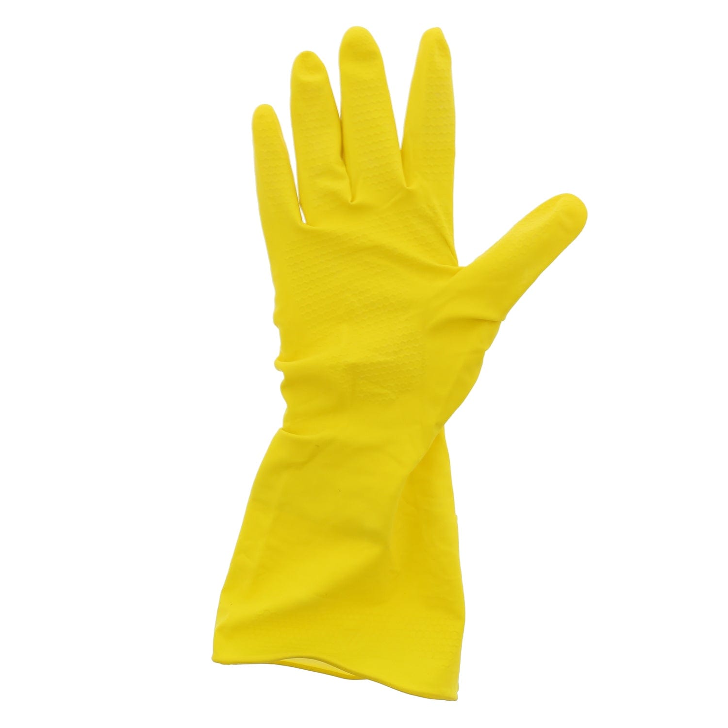 AmerCare Latex Gloves Neptune Powder Free Latex Gloves