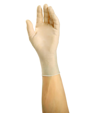 Apollo Powder Free Latex Glove